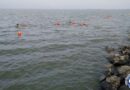 Jótékonysági úszás -Téliúszók a Velencei-tavon