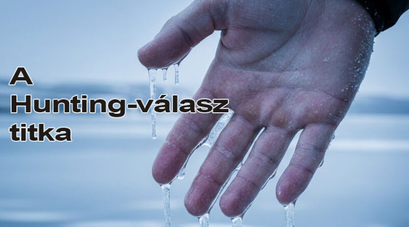 Hunting-válasz